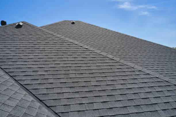 Best Roof Moss and Algae Removal  in Briar Chapel, NC